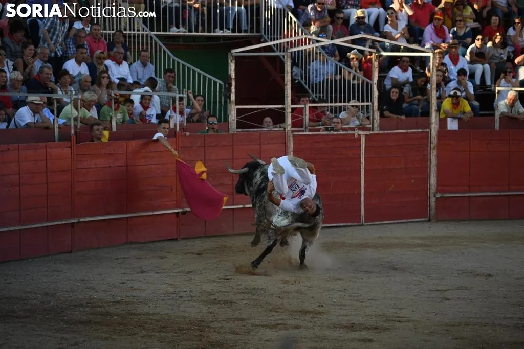 Foto 2 - Concurso de recortadores en las fiestas de &Aacute;greda