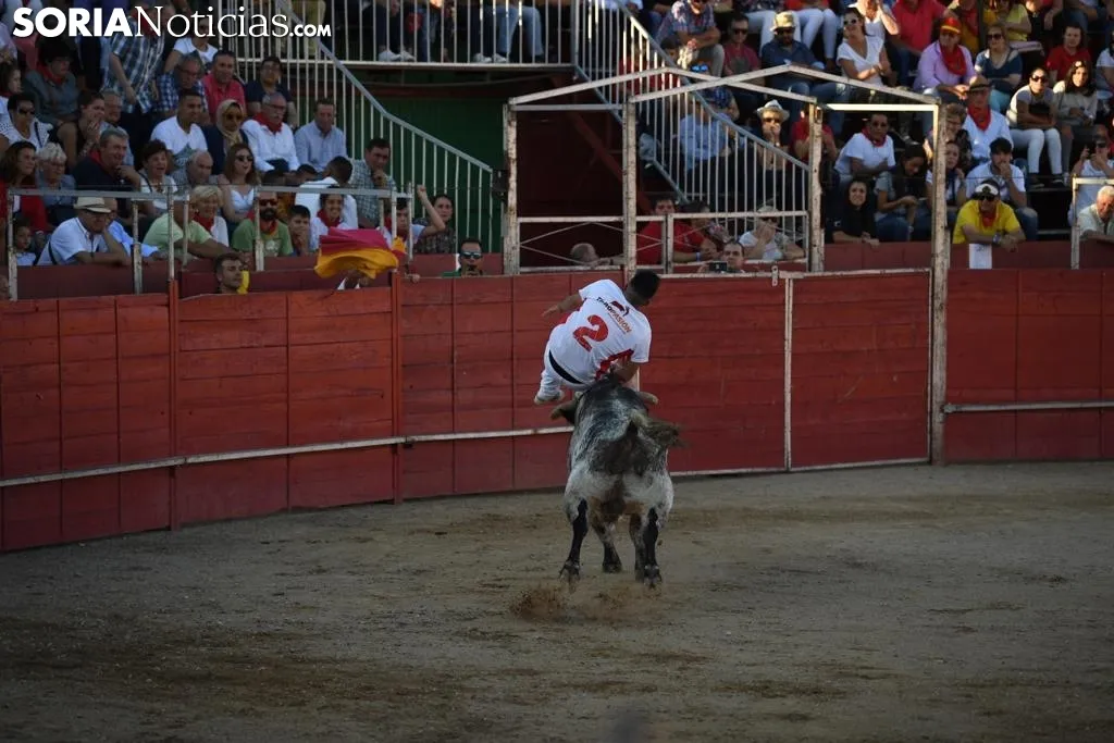 Foto 10 - Concurso de recortadores en las fiestas de &Aacute;greda