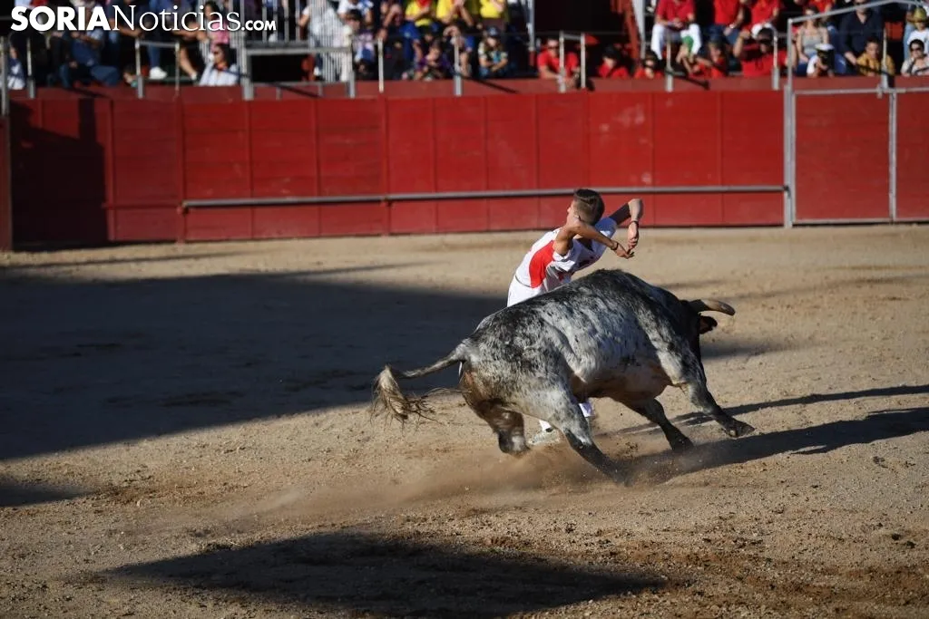 Foto 8 - Concurso de recortadores en las fiestas de &Aacute;greda