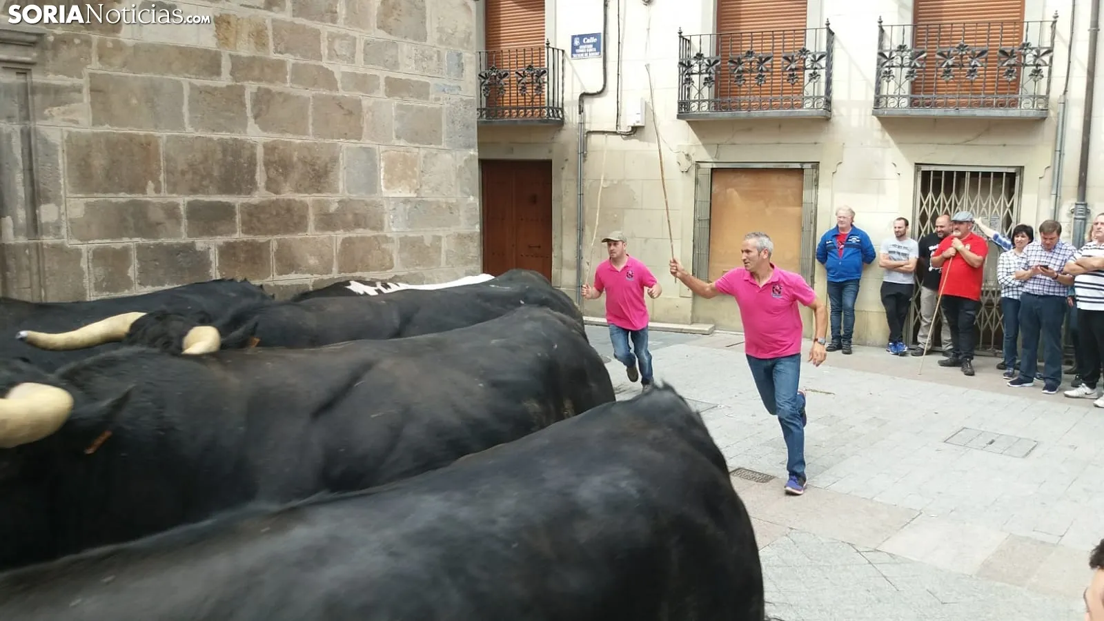 Trashumancia de Ágreda.