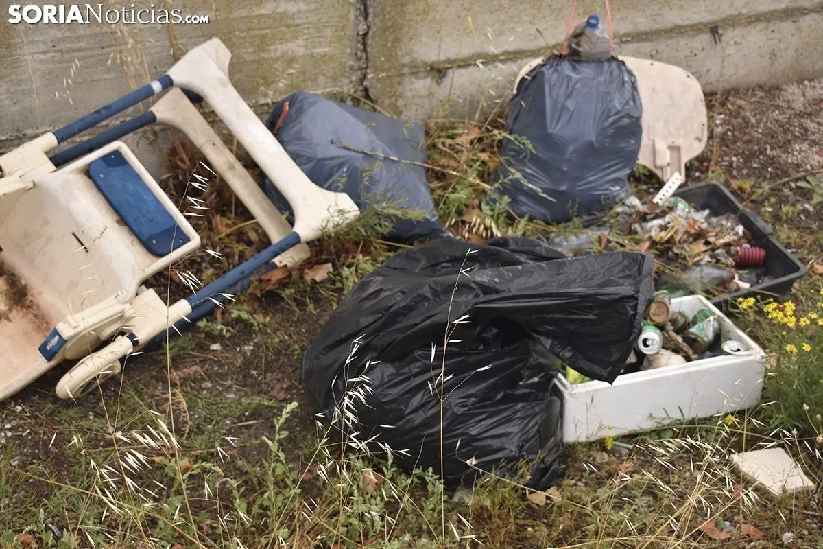 Sorianos participante en el World Cleanup Day.