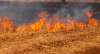Foto 1 - Un incendio forestal en Tajahuerce calcina 2.800 metros de terreno agrícola