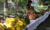 Un puesto de venta de frutas y verduras en Tejutepeque (El Salvador), impulsado por Tierra sin Males. /TSM)