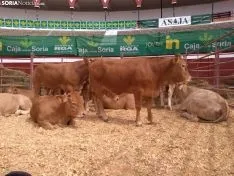 Inauguración de la XI Feria Ganadera de Soria. Freddy Gabriel