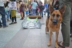 Una imagen de la manifestación de este viernes. /SN