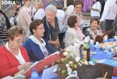 Encuentro de encajeras de bolillos en Soria. /S.N.