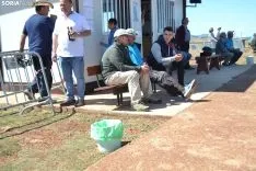 Una imagen de esta mañana en las instalaciones de Velilla. /SN