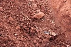 Foto 3 - Abiertas las diligencias por los asesinatos de La Riba de Escalote en la Guerra Civil