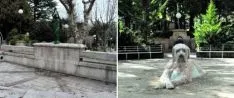 2016 El `abrevadero´ de la Dehesa pasó de ser un espacio oscuro a un homenaje a los trashumantes con la eliminación de la fuente y el vallado y su sustitución por un perro gaudiano. fotos: sn/sn
