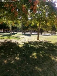 Una imagen de la carrera de este domingo. /SN