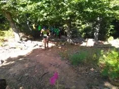 Una imagen de la carrera de este domingo. /SN
