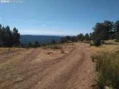 Una imagen de la carrera de este domingo. /SN