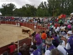 Una imagen de las fiestas este martes. /SN