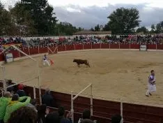 Una imagen de las fiestas este martes. /SN