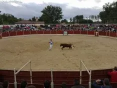 Una imagen de las fiestas este martes. /SN