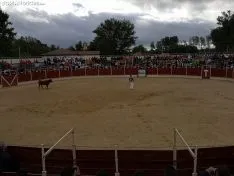 Una imagen de las fiestas este martes. /SN
