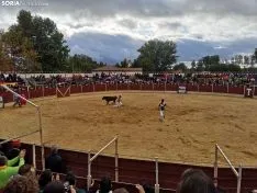 Una imagen de las fiestas este martes. /SN
