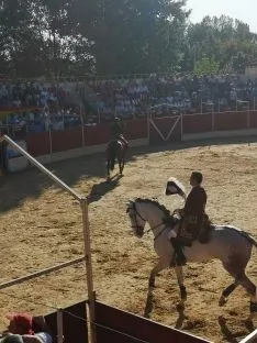 Foto 26 - San Esteban, de fiestas