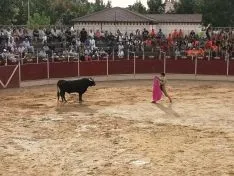 Foto 35 - San Esteban, de fiestas
