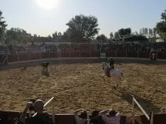 Foto 30 - San Esteban, de fiestas