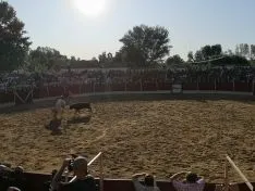 Foto 41 - San Esteban, de fiestas