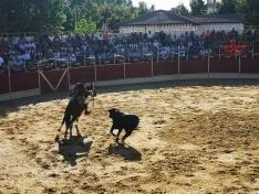 Foto 28 - San Esteban, de fiestas