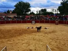 Tarde taurina este martes. /SN