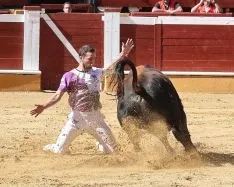 Foto 8 - J. P. Villanueva 'Aguilucho', campe&oacute;n del Concurso Nacional de Recortes de Soria