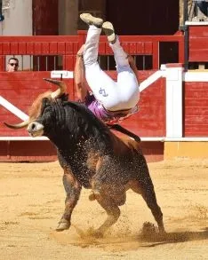 Foto 7 - J. P. Villanueva 'Aguilucho', campe&oacute;n del Concurso Nacional de Recortes de Soria