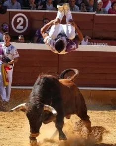 Foto 5 - J. P. Villanueva 'Aguilucho', campe&oacute;n del Concurso Nacional de Recortes de Soria