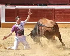Foto 4 - J. P. Villanueva 'Aguilucho', campe&oacute;n del Concurso Nacional de Recortes de Soria