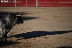 Foto 33 - Concurso de recortadores en las fiestas de &Aacute;greda
