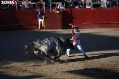 Foto 12 - Concurso de recortadores en las fiestas de &Aacute;greda