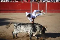 Foto 16 - Concurso de recortadores en las fiestas de &Aacute;greda