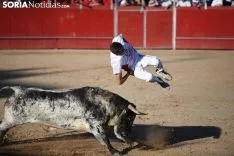 Foto 17 - Concurso de recortadores en las fiestas de &Aacute;greda
