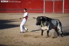 Foto 27 - Concurso de recortadores en las fiestas de &Aacute;greda