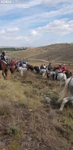Trashumancia de Ágreda.