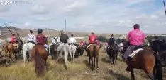 Trashumancia de Ágreda.