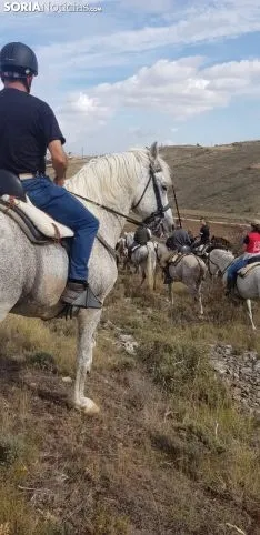 Trashumancia de Ágreda.