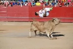 Concurso de recortadores en Ágreda. S.N.
