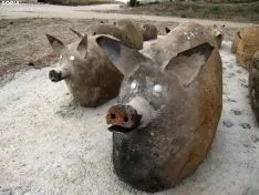Una imagen del conjunto escultórico sobre el cerdo. 