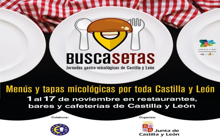 El día 1 abre el plazo de inscricpción para Buscasetas