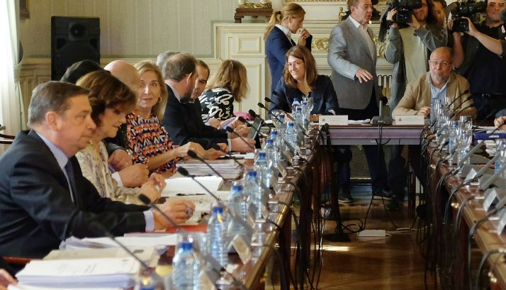 Igea, (dcha., fondo), en el pleno de la CARUE monográfico sobre el Brexit. /Jta.