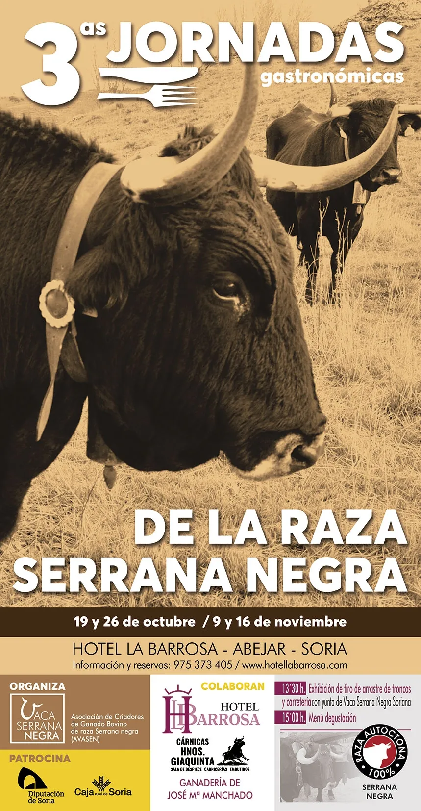 El cartel de las jornadas