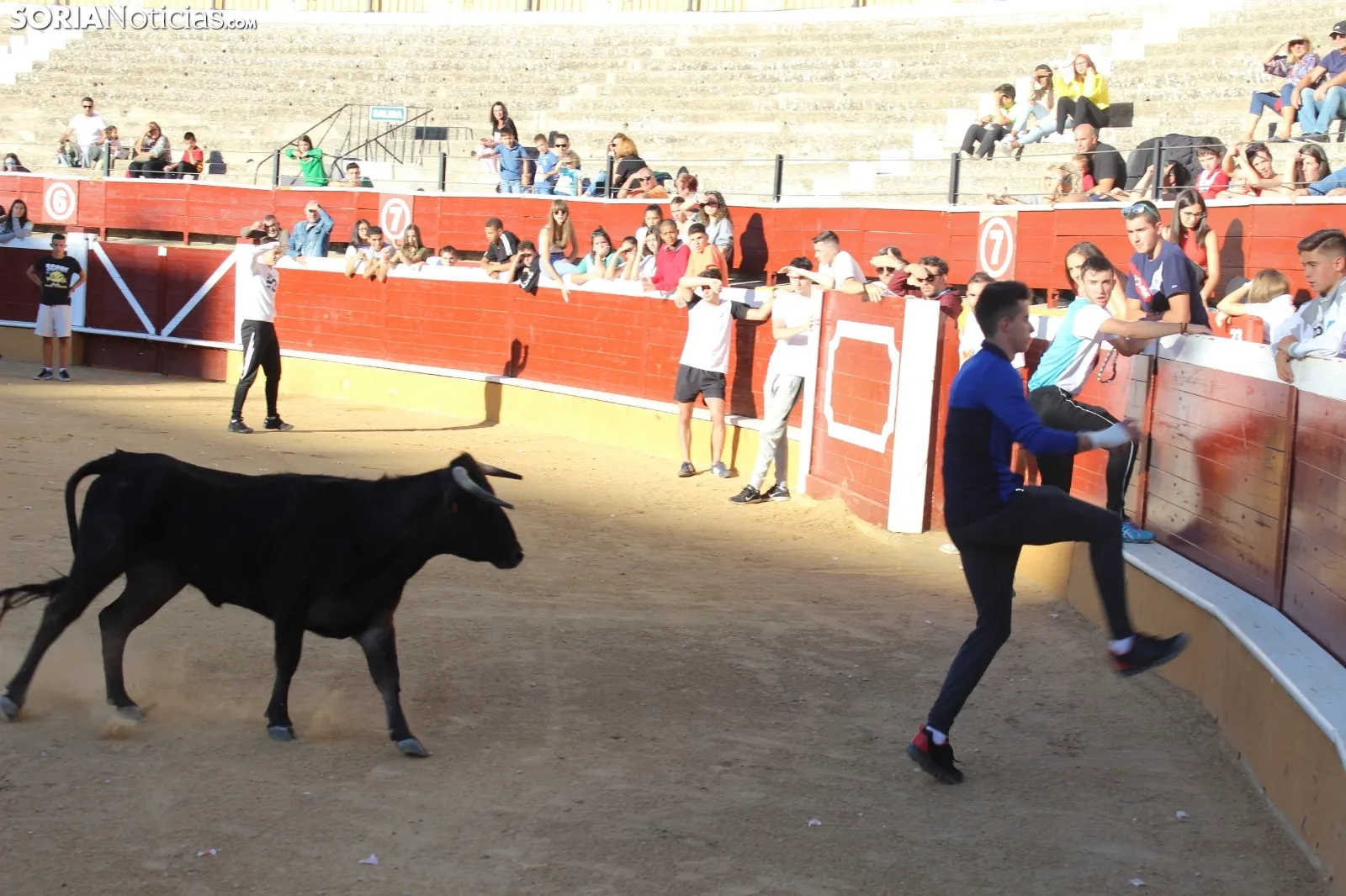 Suelta de vaquillas en La Chata. SN