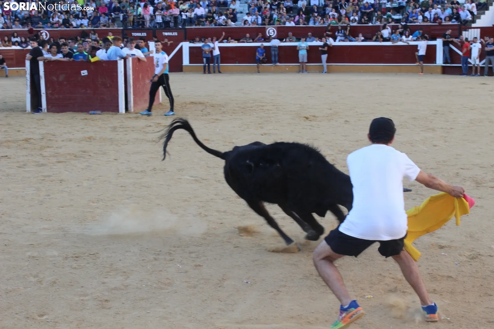 Suelta de vaquillas en La Chata. SN
