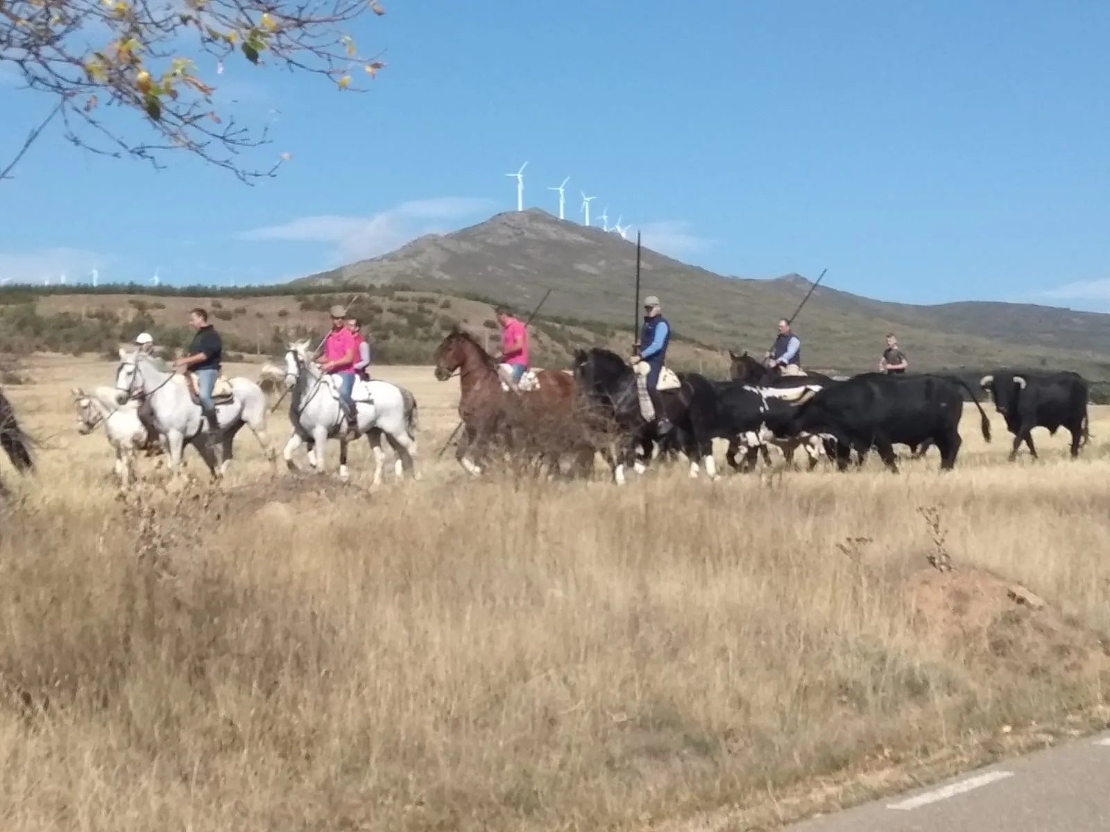 Una imagen de la jornada en Borobia. 