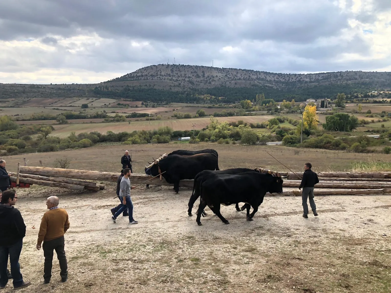 Foto 2 - La gastronom&iacute;a y la tradici&oacute;n carretera vuelven a darse la mano gracias a la Serrana Negra