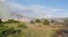 Un fuego forestal declarado este año en la zona del Moncayo. /SN