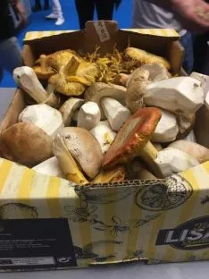 Una de las imágenes sorianas que deja Gastronomika 2019.